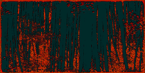 Forrest G Boughner Untitled Photoshop Artwork